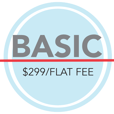 Basic Plan $299 Flat Fee